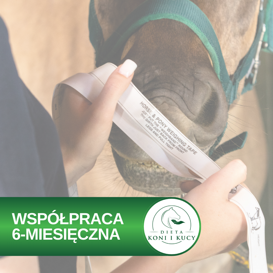 Ważenie konia dieta dla koni