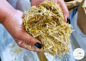 Read more about the article Sieczka dla koni – siano w ładnym worku, czy ważny składnik diety?