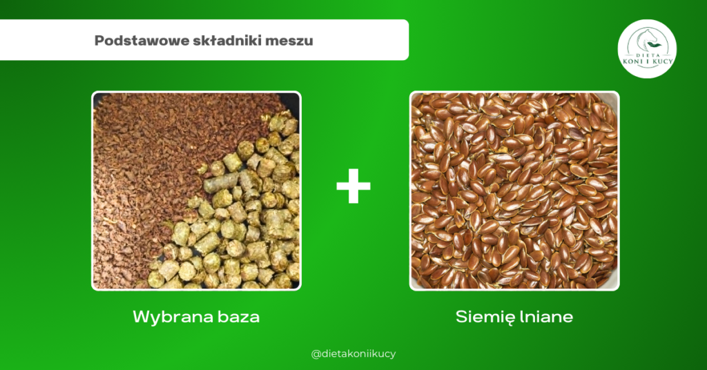 Składniki meszu dla koni