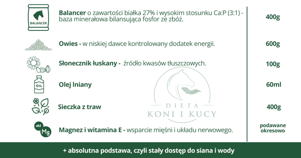 Dieta dla konia