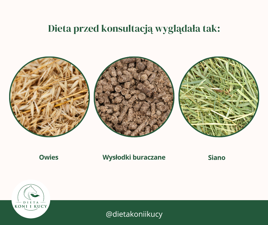 Dieta dla konia