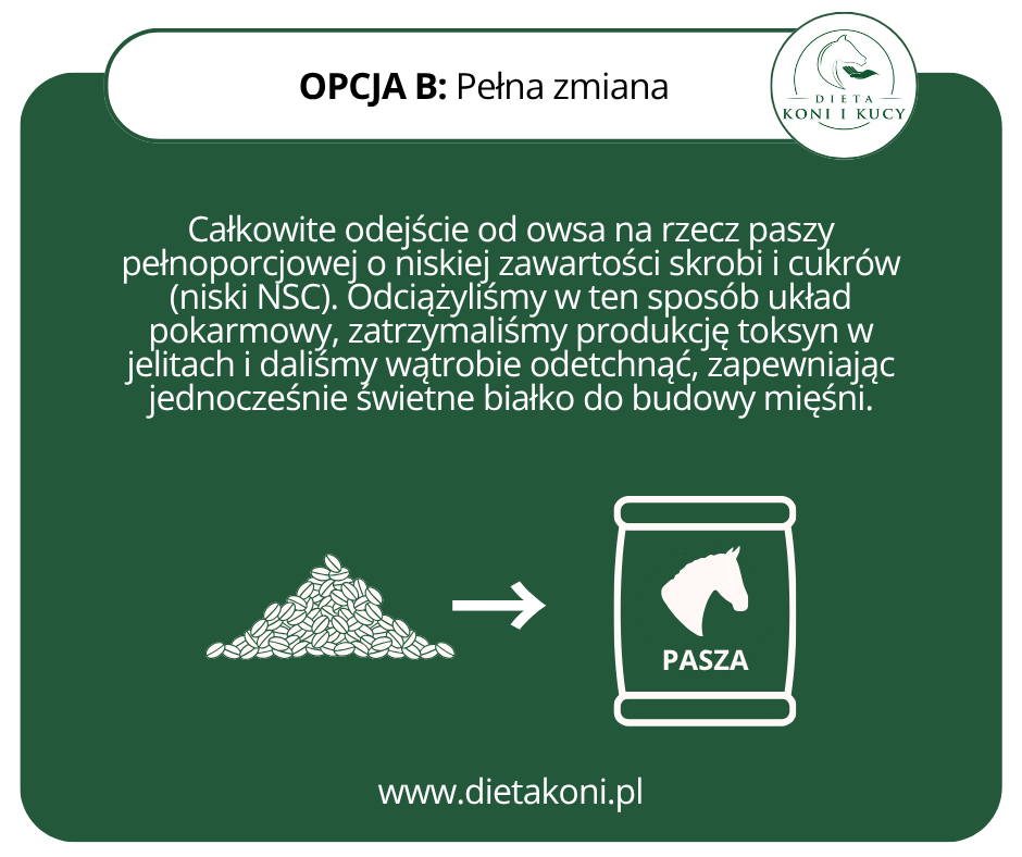 Dieta dla konia