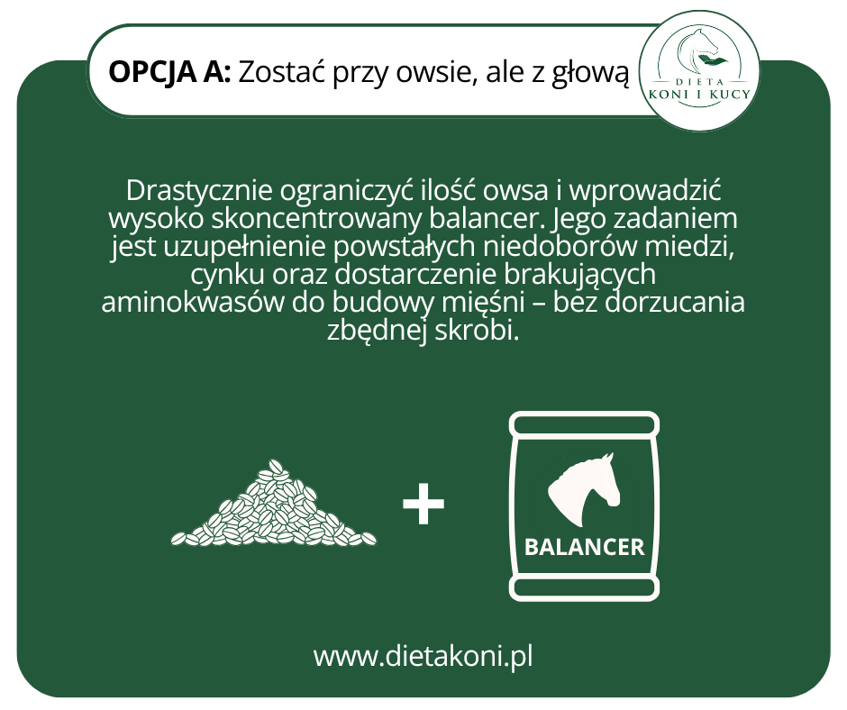 dieta dla konia