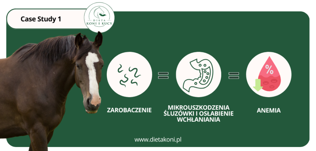 Przyczyny anemii u koni