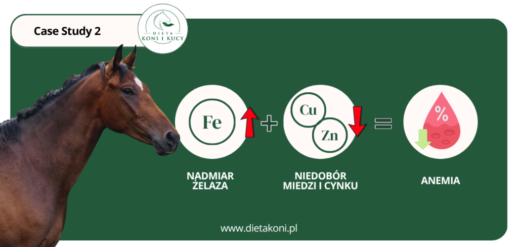 Przyczyny anemii u koni