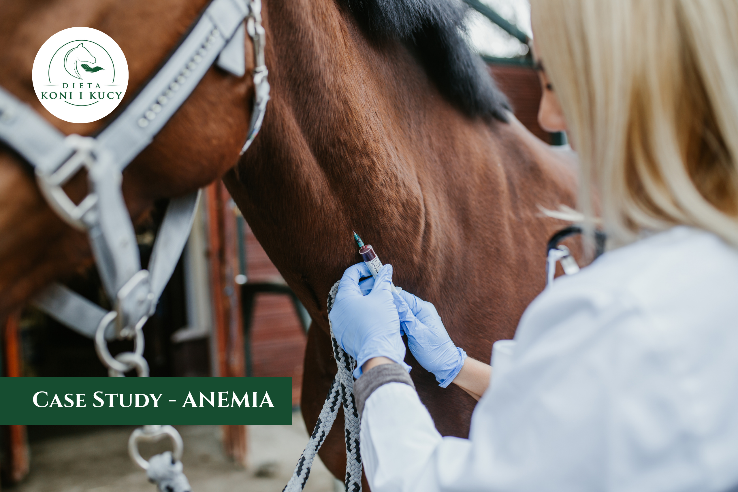 Read more about the article Anemia u koni – Dlaczego suplementacja żelaza nie działa?